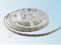 LED лента 3528/120 герметичная (IP65) premium